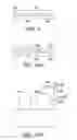 Fig. 06 - Tactile Conforming Apparatus and Method for a Device