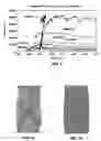 Fig. 02 - Discrete element modeling of rock destruction under high pressure conditions