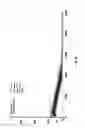 Fig. 32 - Artificial neuron