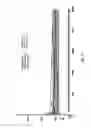 Fig. 53 - Artificial neuron