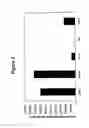Fig. 04 - Inducible SIRNA expression cassette and method of use