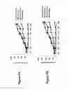 Fig. 08 - Inducible SIRNA expression cassette and method of use