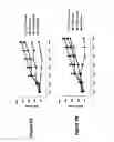 Fig. 09 - Inducible SIRNA expression cassette and method of use