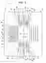 Fig. 09 - Yaw rate sensor using surface acoustic wave
