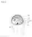 Fig. 02 - WIG USING HAIRNET
