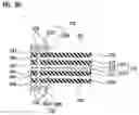 Fig. 09 - FLEXIBLE PRINTED CIRCUIT BOARD AND MANUFACTURING METHOD THEREOF