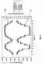 Fig. 04 - Gas sensor and method for the production thereof