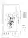 Fig. 12 - Method of evaluating skin conditions and method of estimating skin thickness