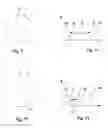 Fig. 06 - High spatial resolution imaging of a structure of interest in a specimen