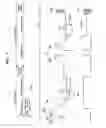 Fig. 06 - Plasma display apparatus