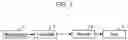 Fig. 02 - Apparatus for automatically synchronizing setting information of wireless device