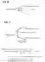 Fig. 06 - Method for handwritten character recognition, system for handwritten character recognition, program for handwritten character recognition and storing medium