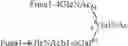 Fig. 167 -  MOLECULE AND CHIMERIC MOLECULES THEREOF