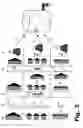 Fig. 04 - Method for manufacturing recombinant polyclonal proteins