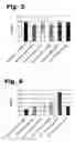 Fig. 08 - Method for manufacturing recombinant polyclonal proteins