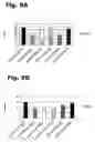 Fig. 10 - Method for manufacturing recombinant polyclonal proteins