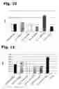 Fig. 11 - Method for manufacturing recombinant polyclonal proteins