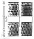 Fig. 09 - Transdermal sustained release drug delivery
