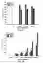 Fig. 02 - Method for alleviating chemotherapy side effects using extract of sp