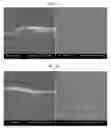 Fig. 06 - Low melting point frit paste composition and sealing method for electric element using the same
