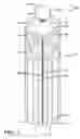Fig. 02 - Removable sheathing apparatus and method