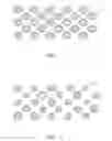 Fig. 02 - System, method and apparatus for pattern clean-up during fabrication of patterned media using forced assembly of molecules