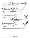 Fig. 06 - CELL SEPARATION USING MICROCHANNEL HAVING PATTERNED POSTS