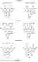 Fig. 02 - Target sequences for synthetic molecules