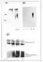 Fig. 01 - Vascular Aging-Predicting Factor and Utilization of the Same