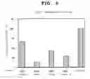 Fig. 06 - Vascular Aging-Predicting Factor and Utilization of the Same