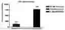 Fig. 01 - Method of measuring the activity of G(alpha)i- or G(alpha)o-coupled receptors using Ca influx in cells