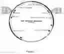 Fig. 03 - IL-12 for expression in mammalian cell