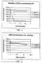 Fig. 02 - Thermostable luciferases and methods of production