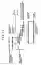 Fig. 11 - BEAD SET, PRODUCTION PROCESS OF THE BEAD SET, AND METHOD OF USING THE BEAD SET