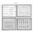 Fig. 06 - DETECTION OF NUCLEIC ACID BIOMARKERS USING POLYMERIZATION-BASED AMPLIFICATION