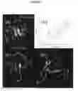 Fig. 02 - Neuronal Network-Interacting Peptide