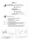 Fig. 02 - RNA interference mediated inhibition of gene expression using chemically modified short interfering nucleic acid (SINA)