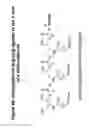 Fig. 49 - RNA interference mediated inhibition of gene expression using chemically modified short interfering nucleic acid (SINA)
