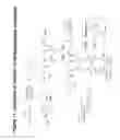 Fig. 72 - RNA interference mediated inhibition of gene expression using chemically modified short interfering nucleic acid (SINA)