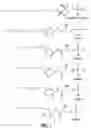 Fig. 02 - Aryl amide sphingosine 1-phosphate analogs