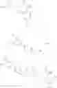 Fig. 982 - Compounds