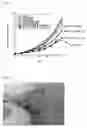 Fig. 02 - POTENTIATOR FOR RADIATION THERAPY COMPRISING PYRIDINE DERIVATIVE AS ACTIVE INGREDIENT