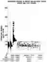 Fig. 01 - REPLIKIN PEPTIDES AND ANTIBODIES THEREFORE