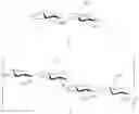Fig. 49 - Production of L-iduronate containing polysaccharides