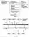 Fig. 06 - Web Enabled Method for Managing Life Cycle of Human Capital Related Dynamic Requirement of Organization