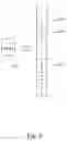 Fig. 07 - Method of skipping synchronization process for initialization of RAID1 device