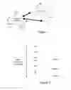 Fig. 02 - Sampling based runtime optimizer for efficient debugging of applications