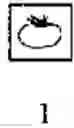 Fig. 02 - Tomato plant line TZ368