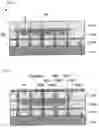 Fig. 22 - Multilayer printed wiring board with a built-in capacitor