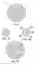 Fig. 02 - Surface enhanced Raman spectroscopy (SERS)-active composite nanoparticles, methods of fabrication thereof, and methods of use thereof